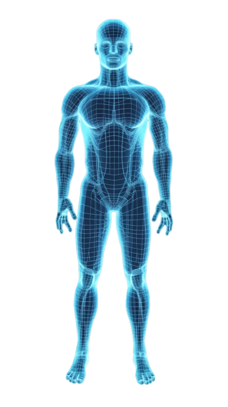 Full-body health screening figure