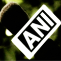 ani news clinics on cloud